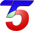 T5 Satelital
